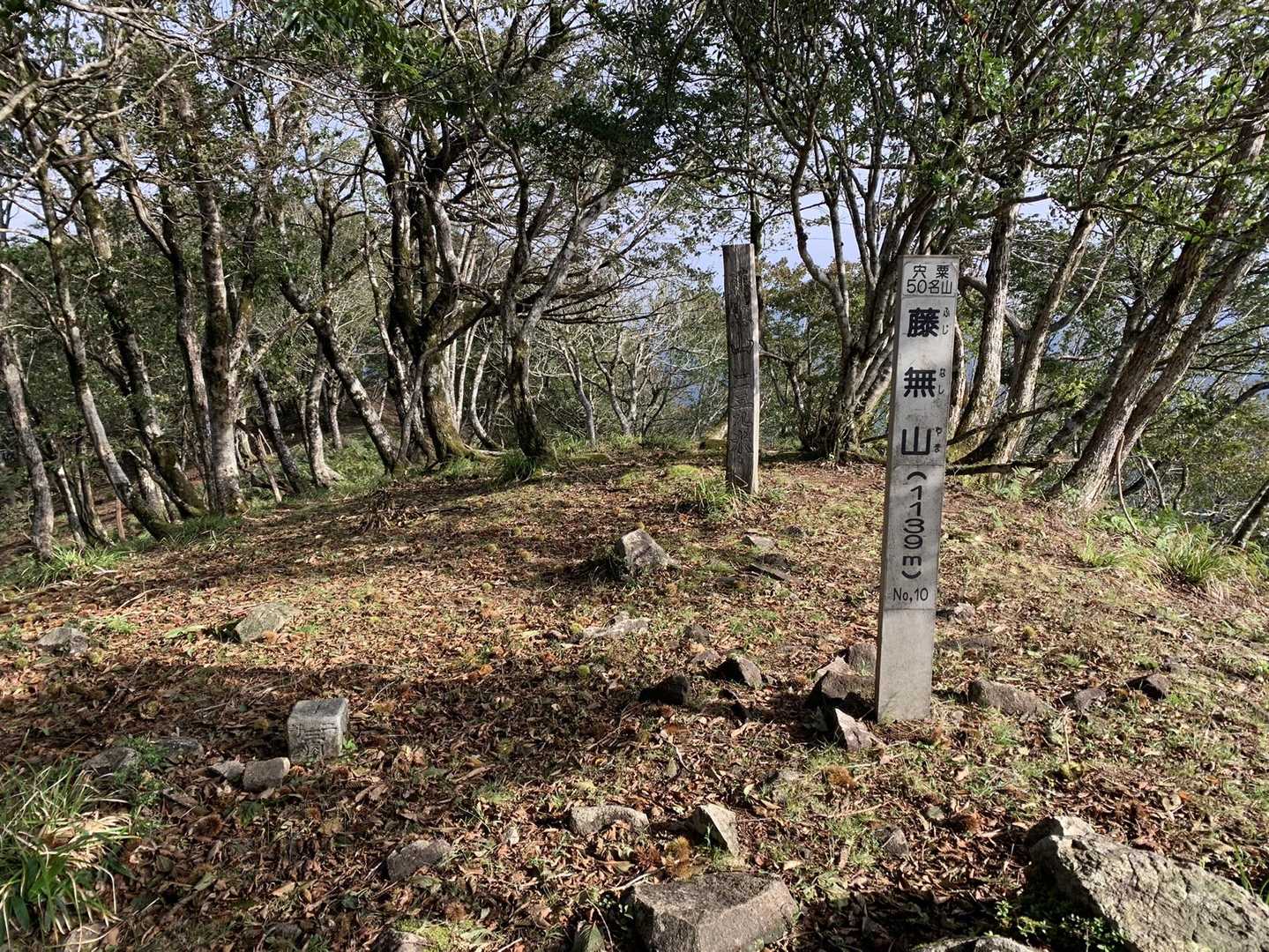 登山口からおよそ1時間、出発してからはおよそ1時間45分、8:05無事に藤無山山頂に到着です！*\(^o^)/*