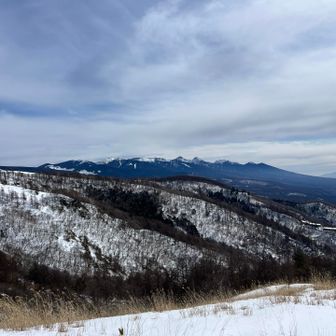 南八ヶ岳オールスターズを一望。