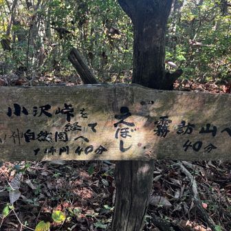 色々修正あるみたいね