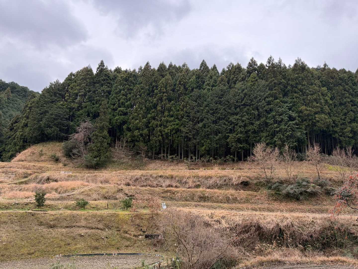 段々畑？棚田かな？🙄
晴れてて、稲などが育っている時だったら、もっと綺麗なんでしょうね✨

実は、駅を出てから、ほんのちょっぴりですけど、雪がパラついています❄️
雨じゃなくて、良かった～😆