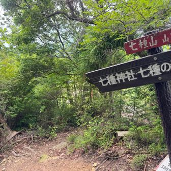 七種の滝方面から下山します