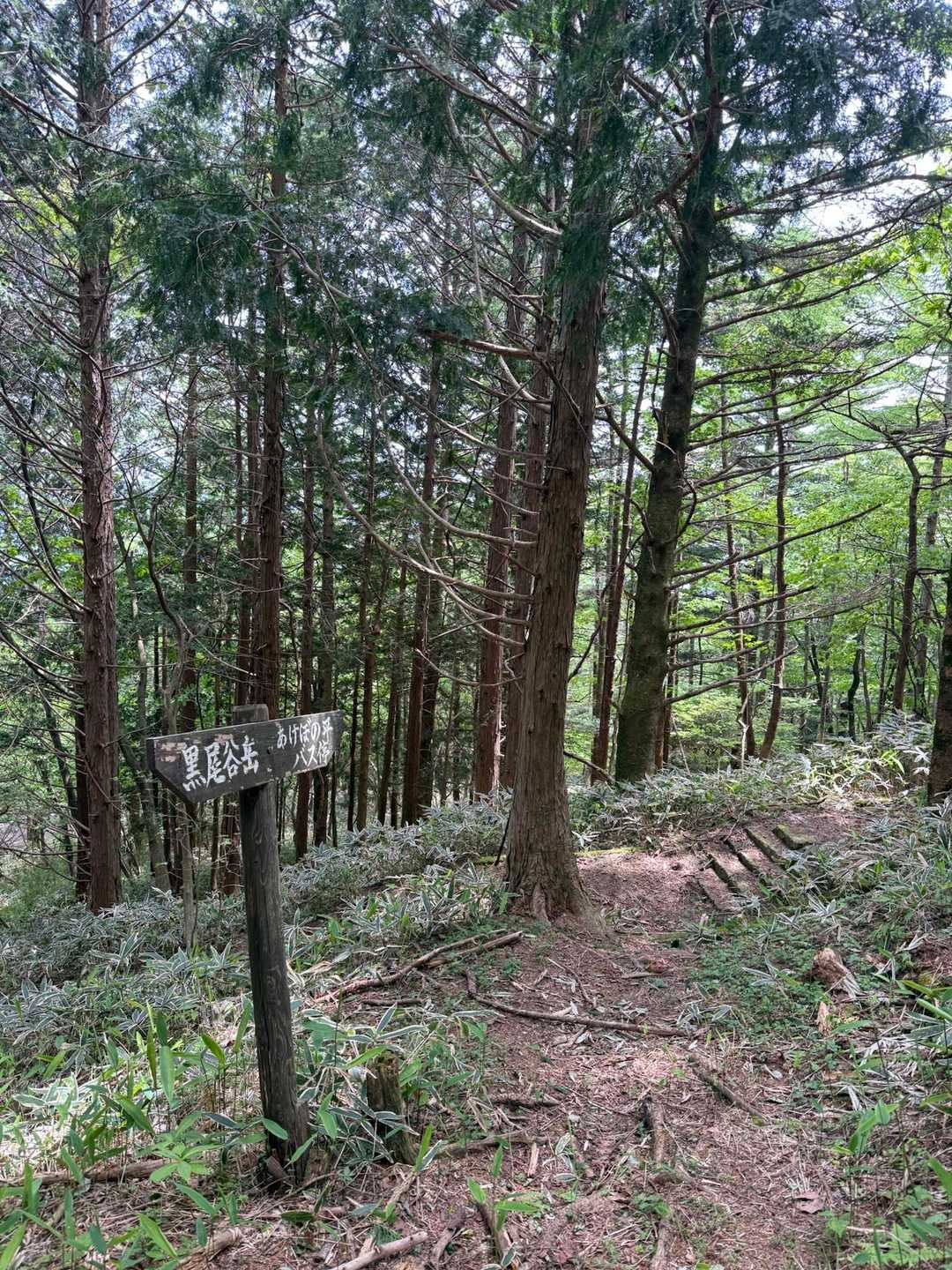 無事下山