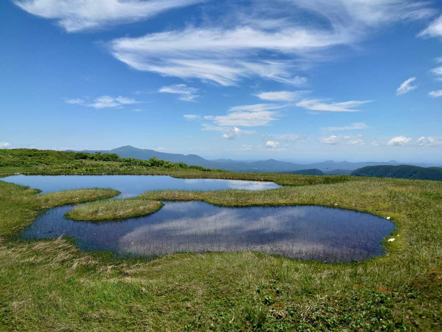虎毛山 往復コースの写真