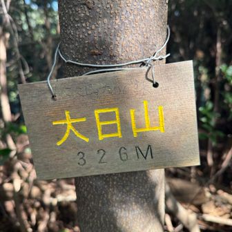 大日山ピーク（この山名標はYAMAPより少し北にあります💦）