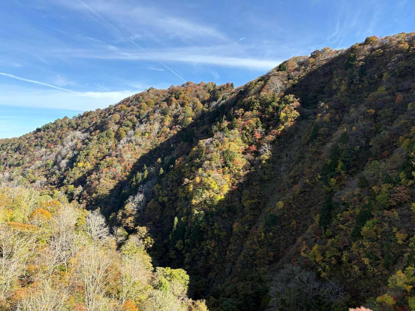 白兀山-蛇尾山-夕霧峠-奥医王山-三千坊 周回コースの写真