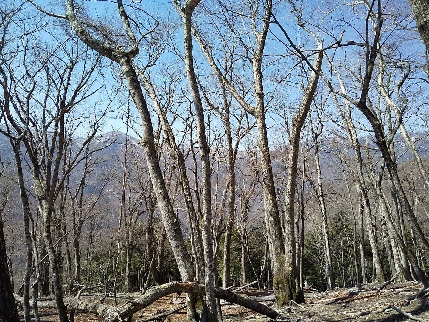 石尾根を眺めながら