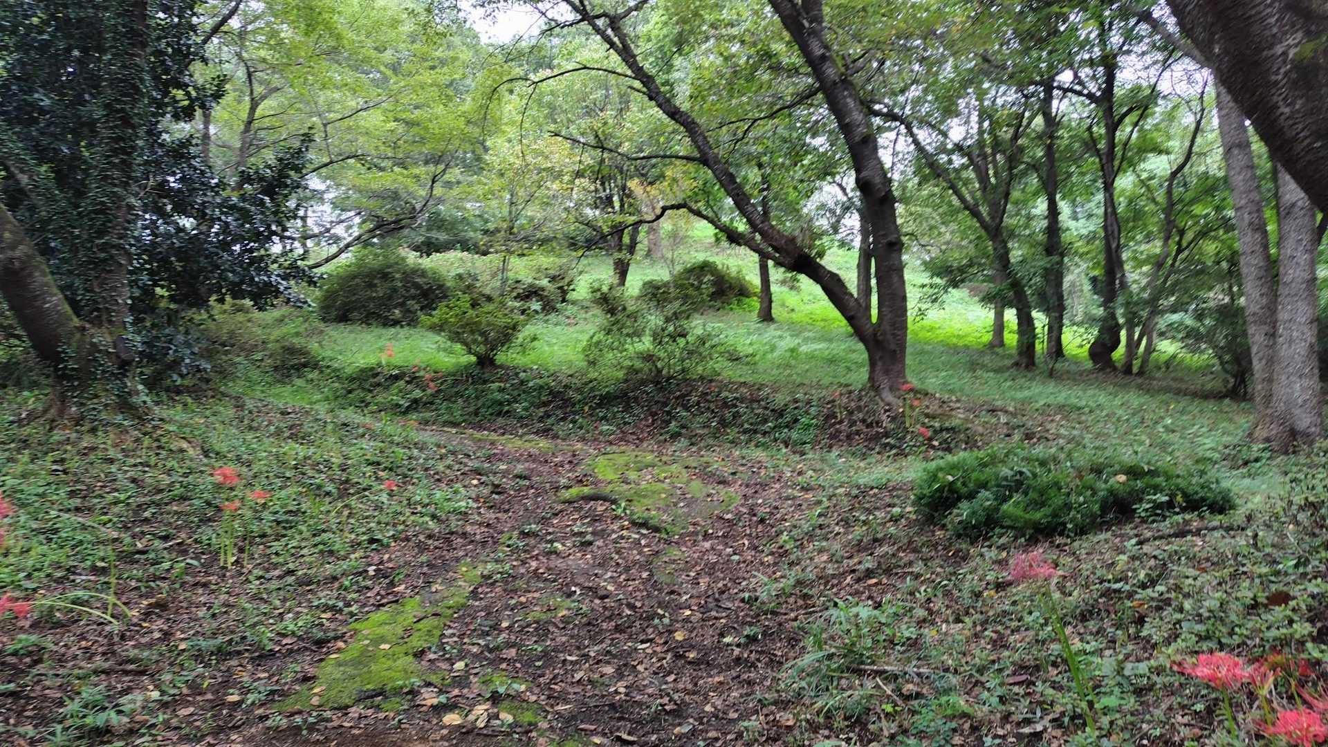 ここを登りきれば手倉森山山頂