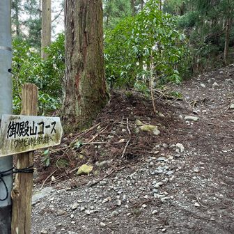 登山口に。🤗
急登が続き。