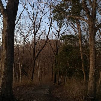 山頂はあっちかな？