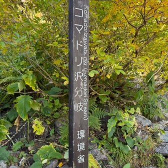 水枯れてた