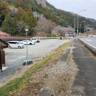 駐車場に戻ったら三台になっていました。