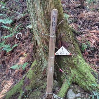 道迷いポイント