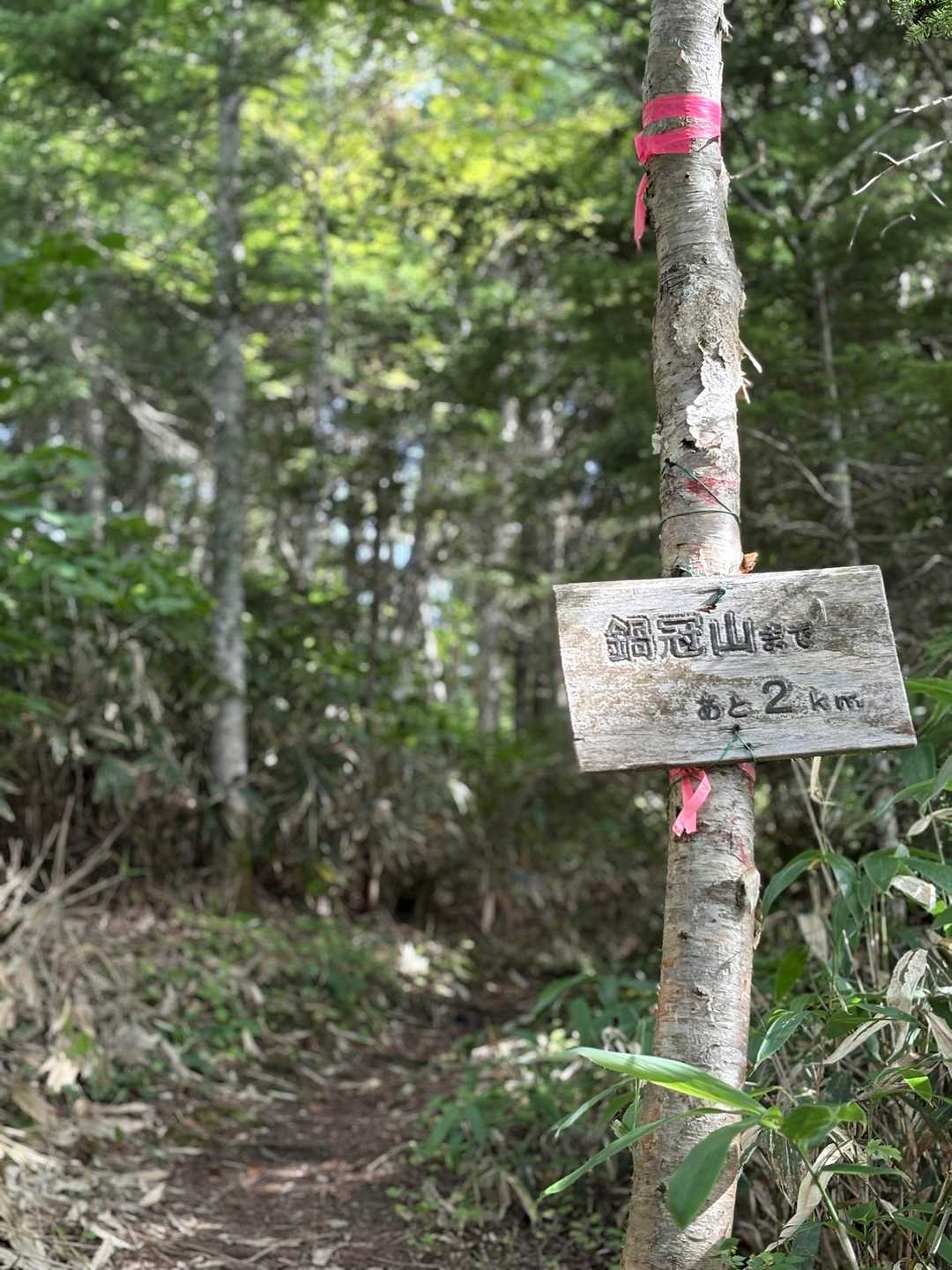 登山道はとても歩きやすい
景色が全く変わらないので写真は途中の道標のみ
鍋冠山まで2km