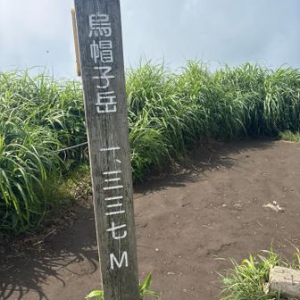 着いた！