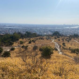 夏はどんな感じかな🌱
