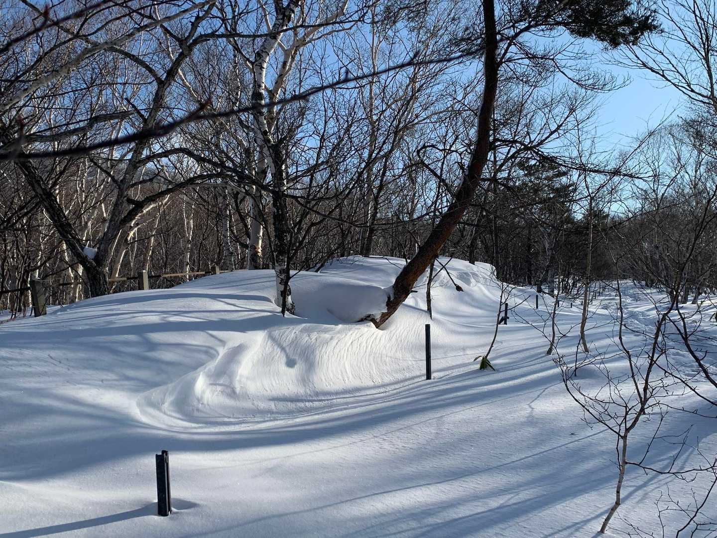 綺麗な自然の造形美。