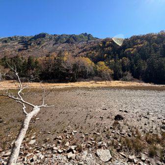 鷲羽に向かう途中の水晶池。
枯れてました。