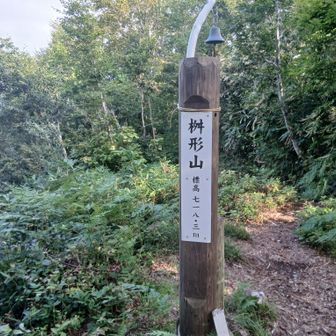 枡形山についた