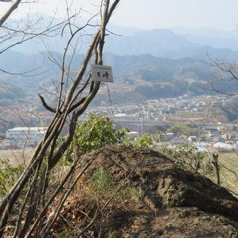 八峰。
下から見たら、この先は絶壁だった