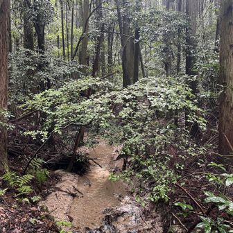 空気が良い