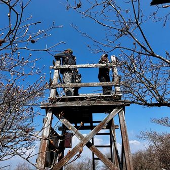 展望台の上でのんびり