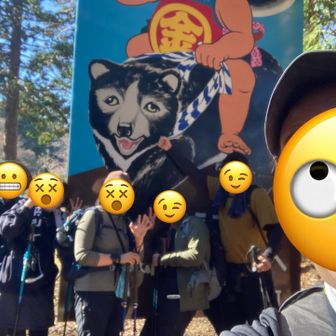 🐻の目が少しキマっているようで気になった🥷