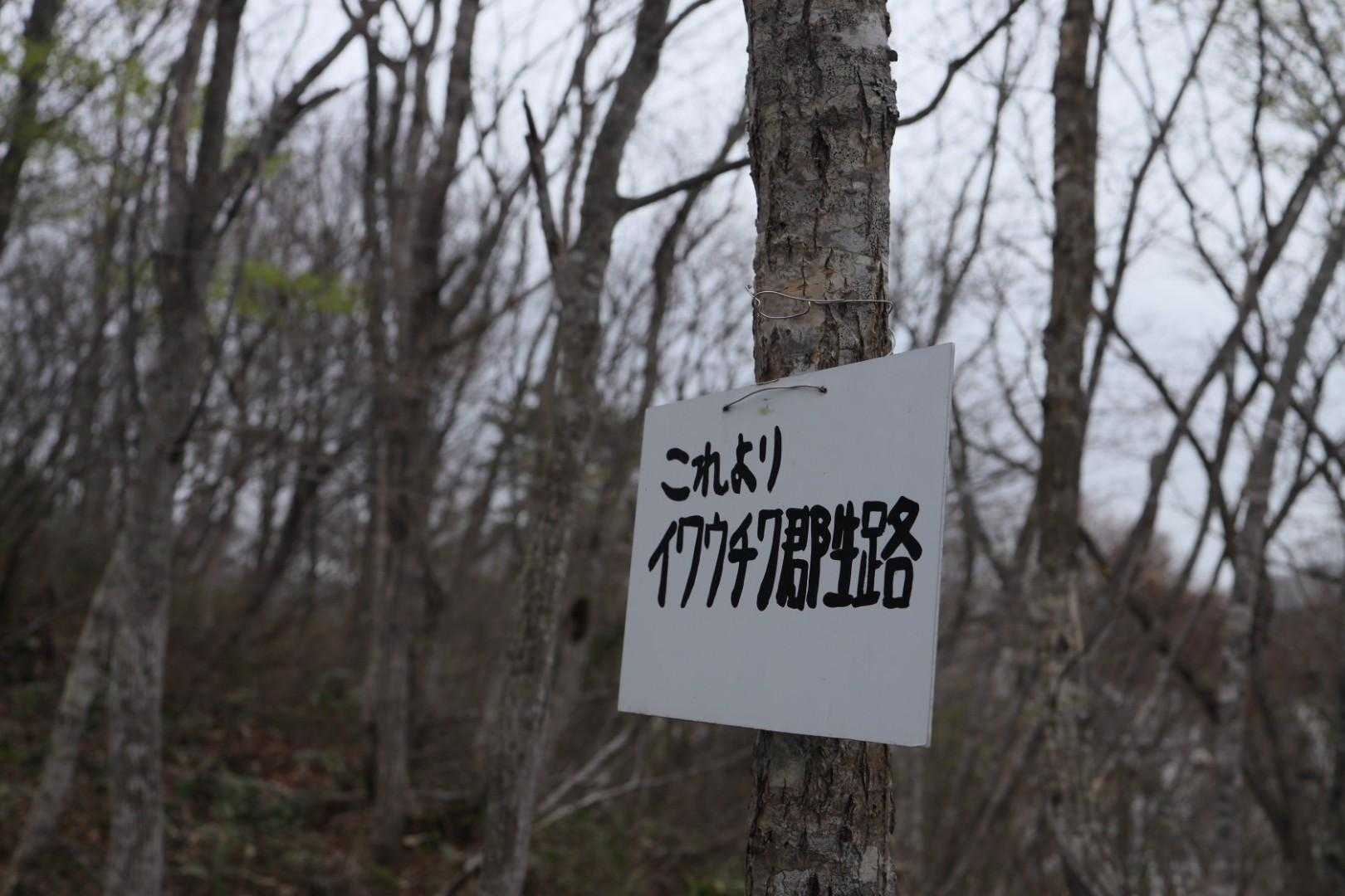 いや始まりはここからでした
すでにたくさん写真撮ってますけど
ズコー