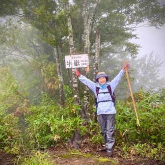 山頂