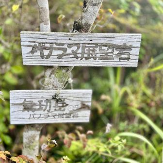 登り返して第二のピークは気功岳