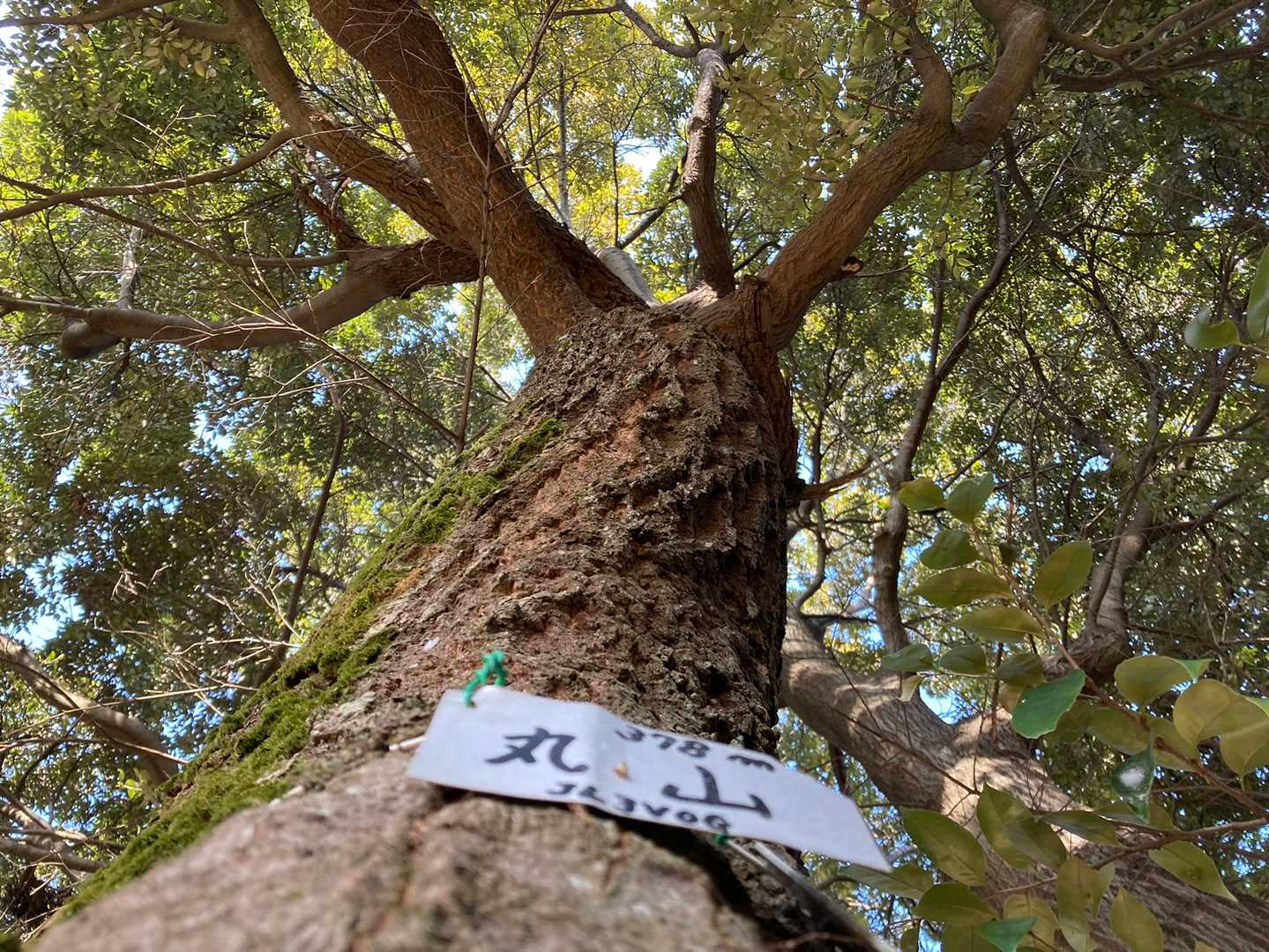 おまけの丸山😂いただきました‼️笑🙌