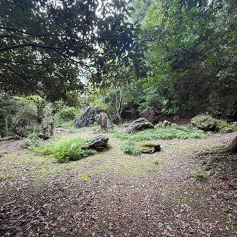 庭園跡の遺跡