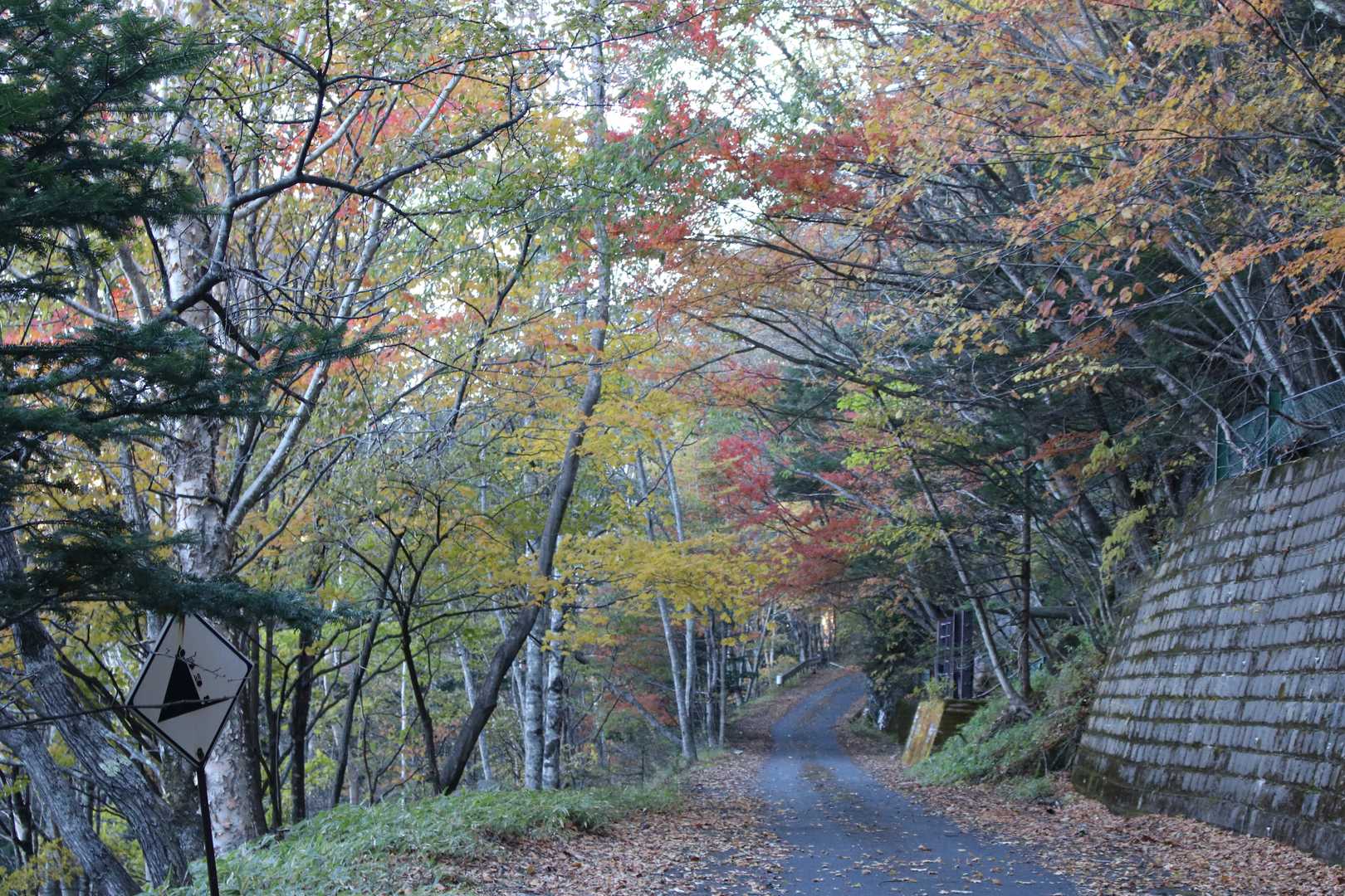 林道を1時間ぐらいかけて歩きます。紅葉もいい感じ