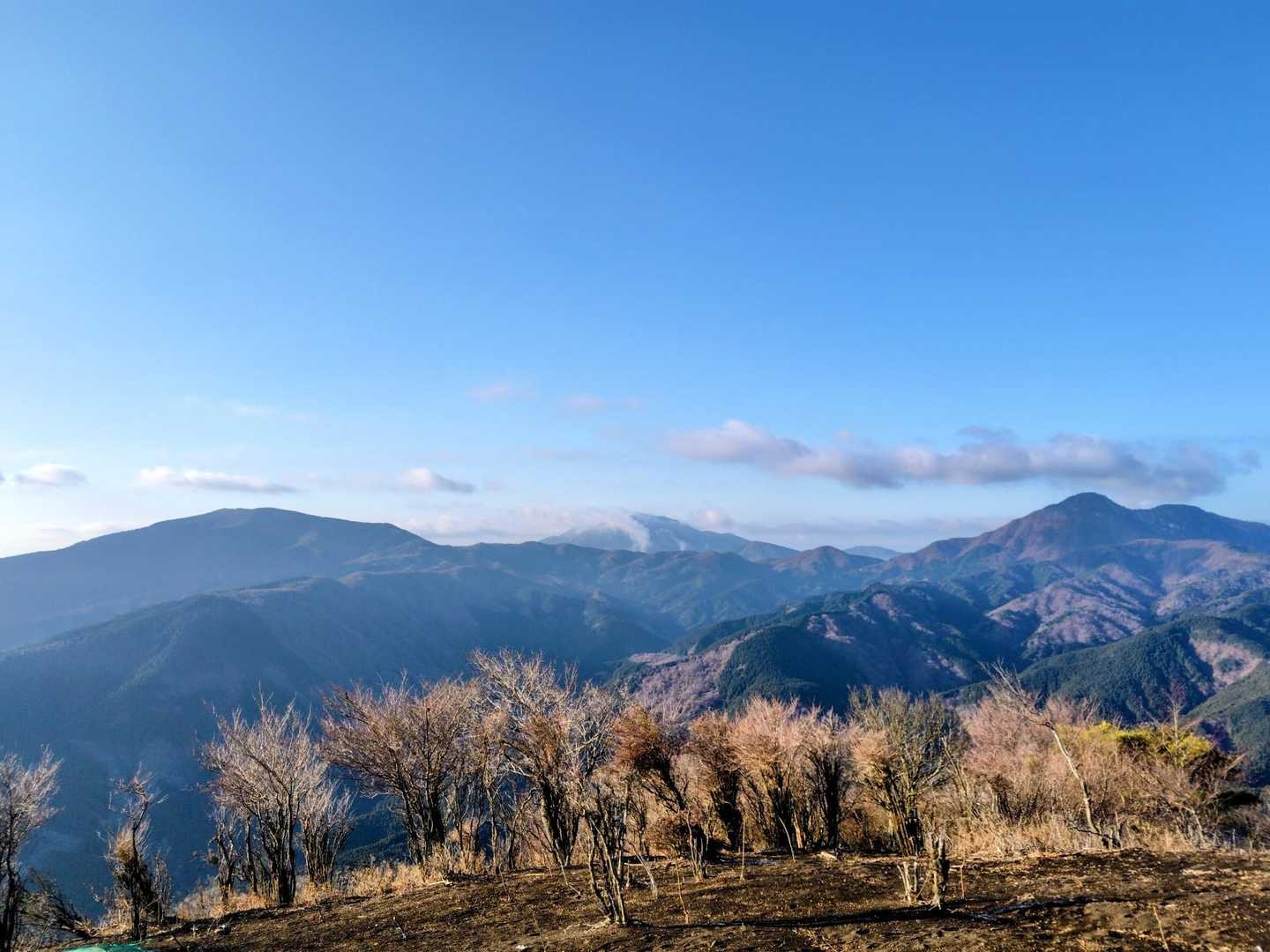 真ん中に箱根の神山、左に明神ヶ岳、右に金時山