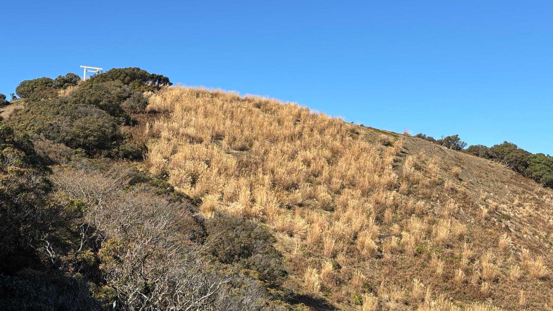 振り返ると黄金色の山頂