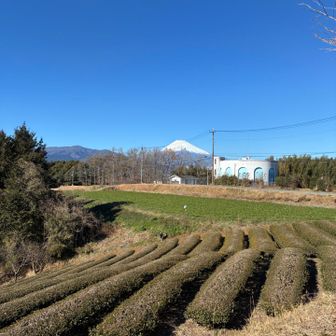 末広山からの富士山