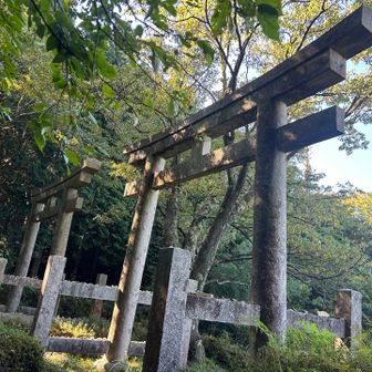 　　二ｯ鳥居　⛩️ ⛩️