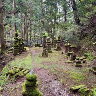 これは 歴史学で確認する
史実（しじつ）ではなく
現在まで続いている信仰です

史実の空海が残した
巨大な足跡

そこへ 長い年月をかけて
数々の伝説が
重なっていきました >>
