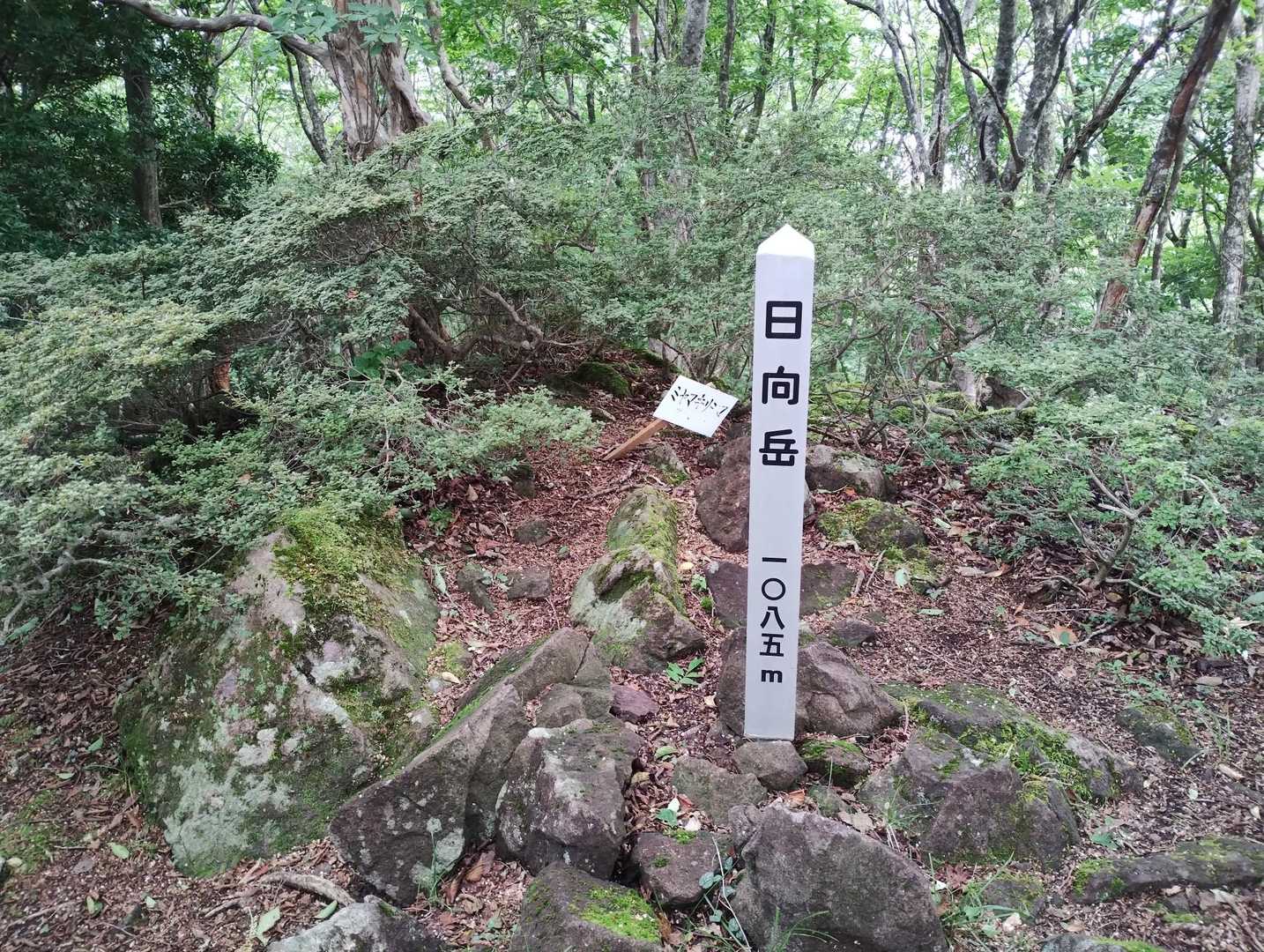 たんまるさんがコジローと呼んでいた日向岳に腕まくりして登頂🙌✨ﾀｲｶﾞｰｼｮｯﾄ!🐯