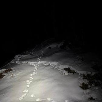 足跡見て何の動物か想像しながらハイクも楽しいもんです🤗