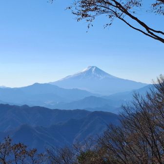 ついつい📷で撮ってしまいます