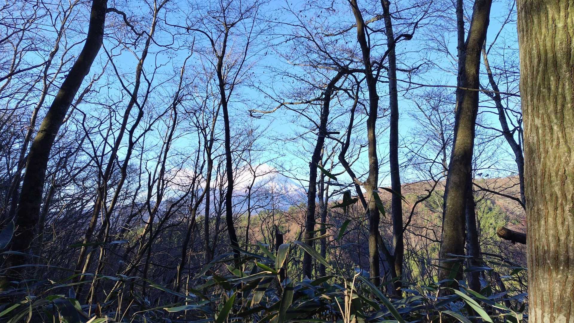 途中…
富士山見えたけど…
雲☁が…
さっきより増えちゃった❓