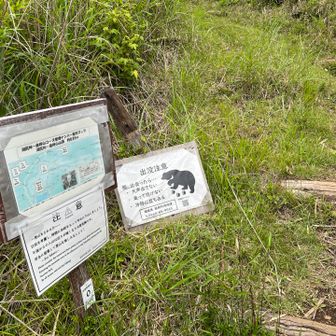黒岳への登山口
もう15:30を過ぎている、雨がパラパラ降ってきた、足が疲れてる、クマのキョーフも相まって
黒岳へ行くのは断念しました🥲