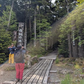おしまい
