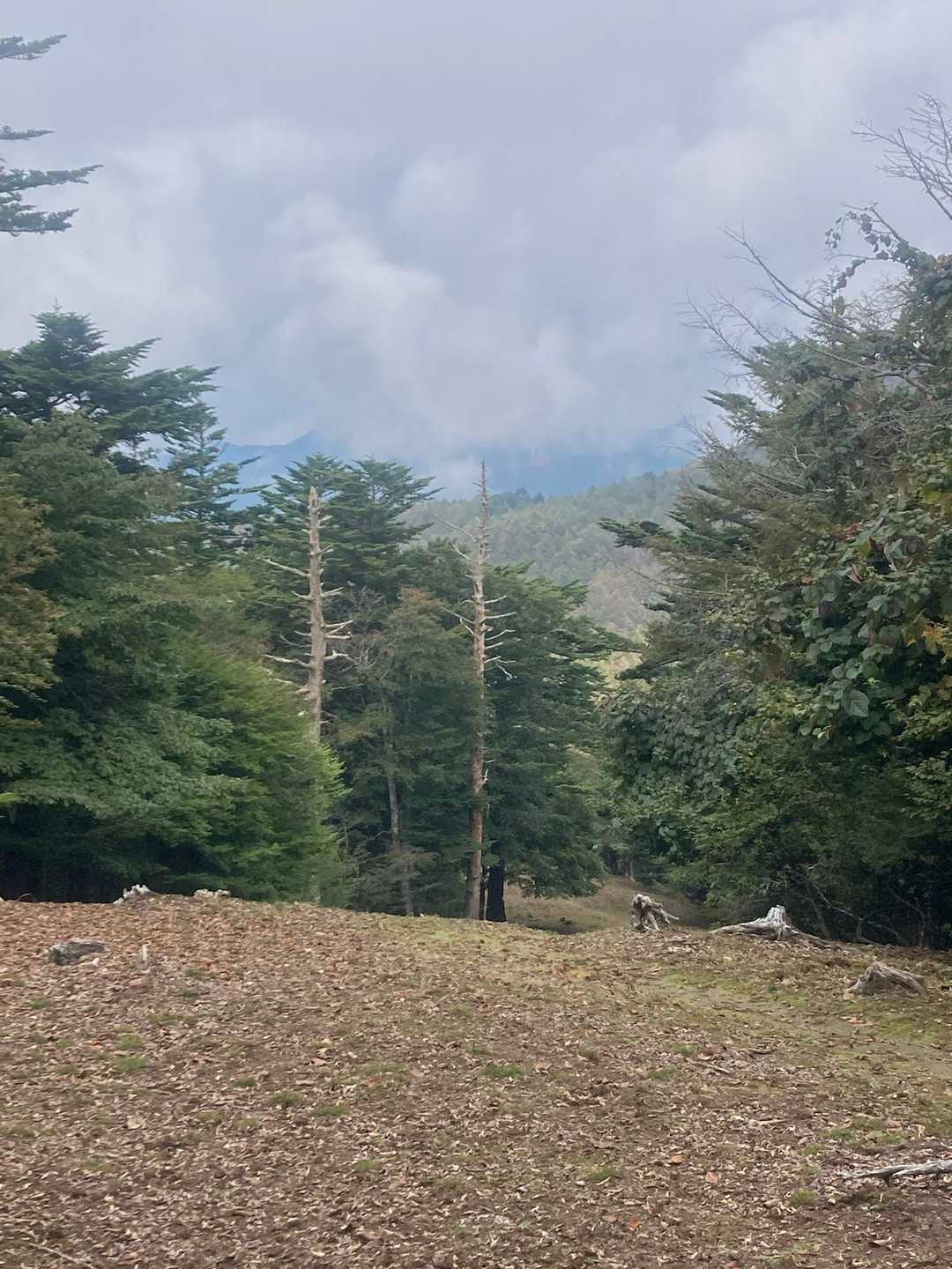 振り向けば、きれいな山並みが見えました。