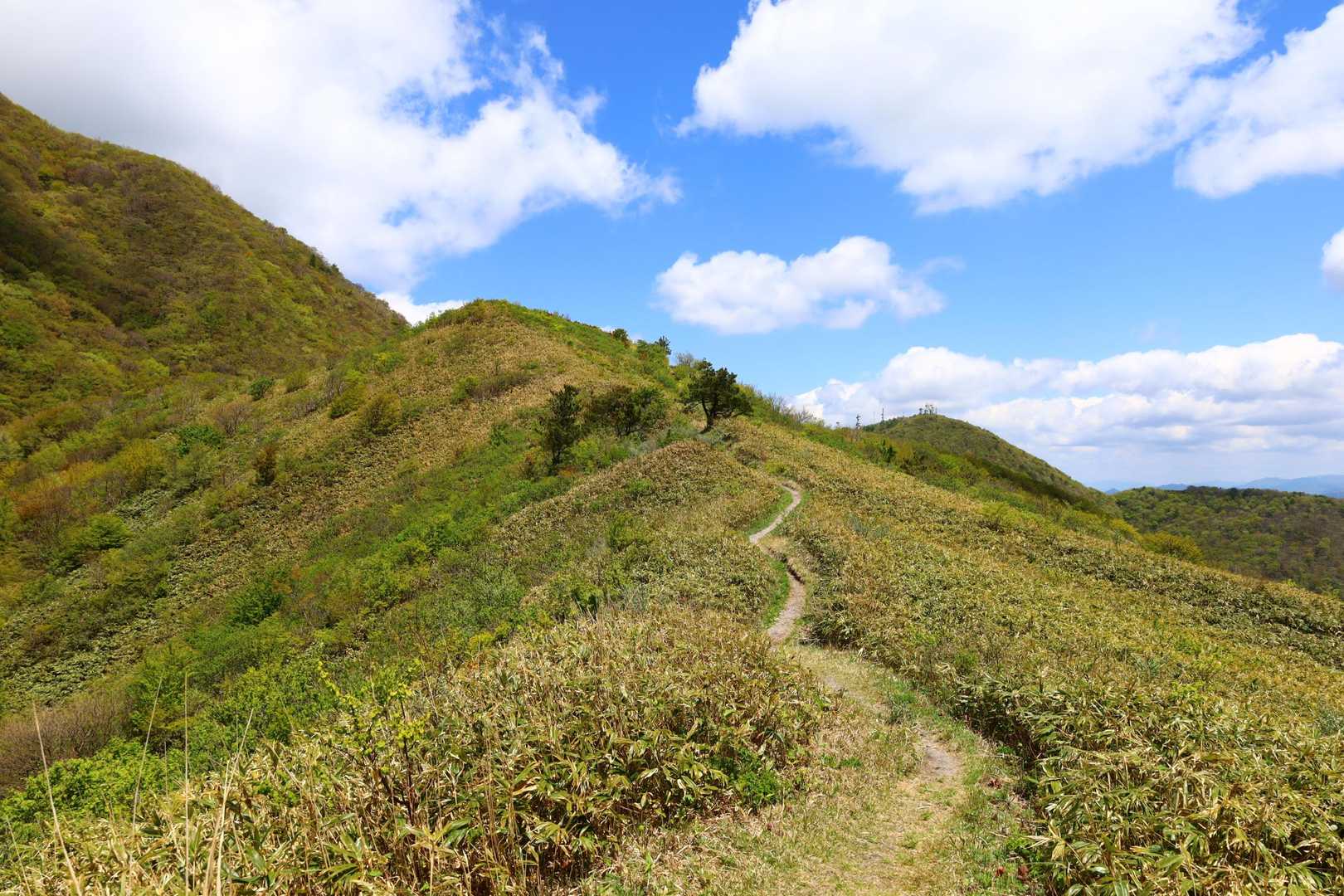 姫逃池登山口-男三瓶山-扇沢-子三瓶山-風越-奥の湯峠-女 周回コースの写真