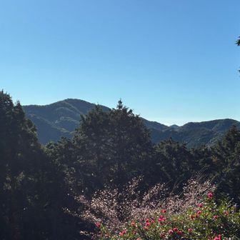 竜ヶ峠からの眺望