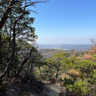 元岩巣山の頂上からの眺め
前来た時は小さい山頂看板があったはずなのに、無くなってました🥲
