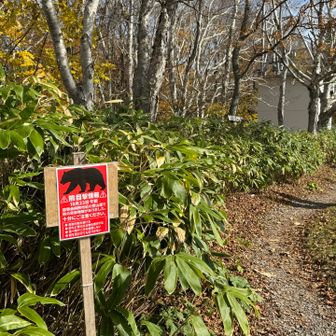 クマ出るので注意