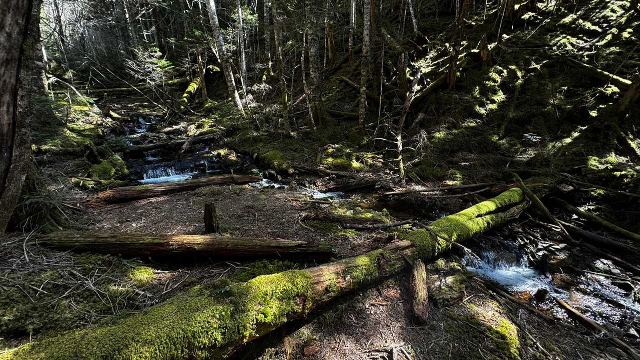 三宝山・甲武信ヶ岳縦走 の写真 34