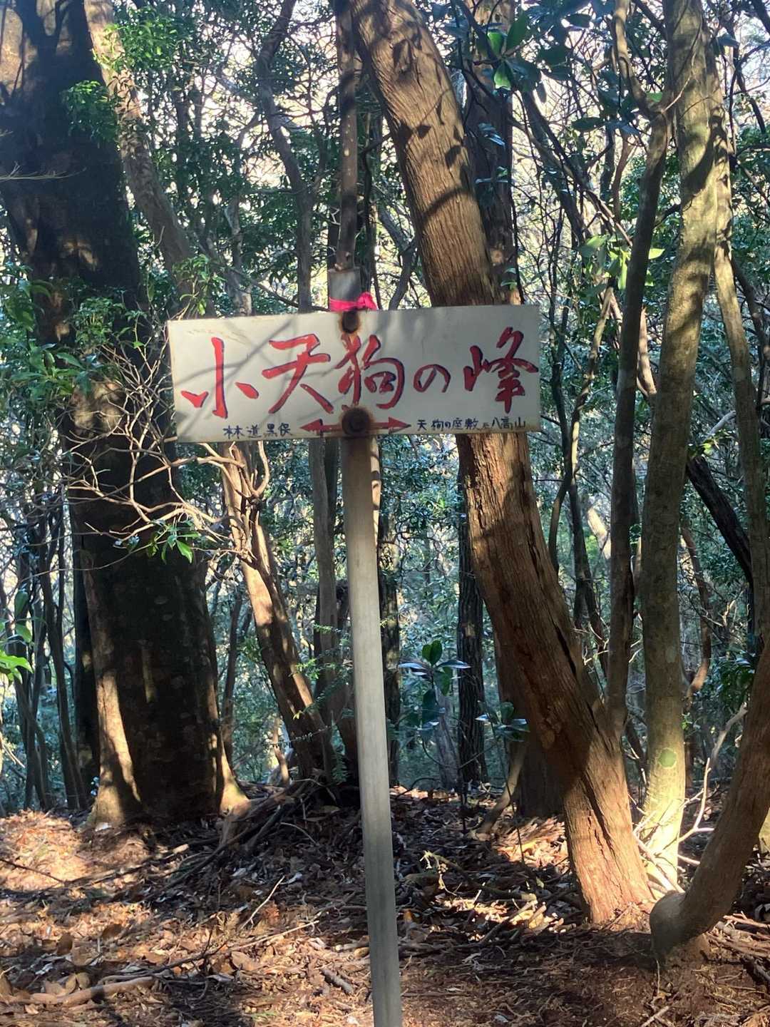 YAMAPの山頂では無いですが、小天狗の峰に到着しました💪
一応写真🤳をパチリ。
